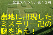 緊急スペシャル第12弾　農地に出現したミステリー卍の謎を追え！